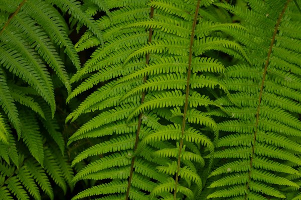 Bateaux et navigation : explorez le monde des voyages en mer